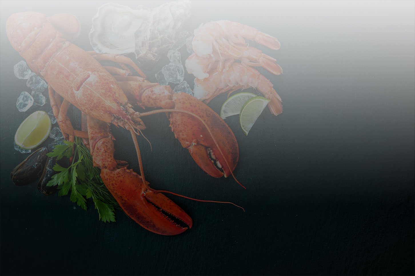 Ocean Sea Food Wholesale & Retail Seafood Distributor