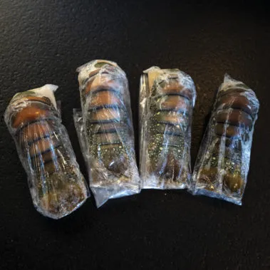 seafood distributor lobster new jersey