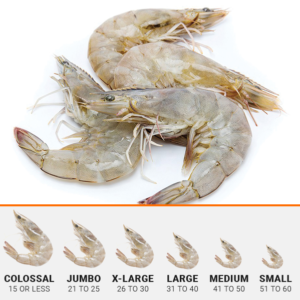 IQF shrimp size chart