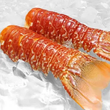 african lobster distributor nj