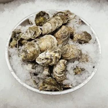 fresh blue point oyster restaurant distributor