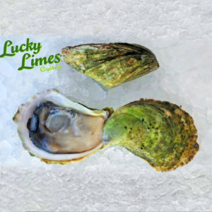 lucky limes oysters distributor