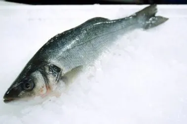 full branzino for restaurant sales