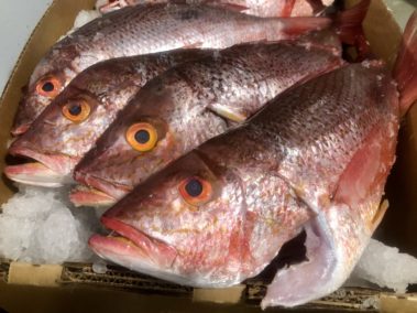 seafood depot red fish