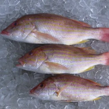 wholesale fish seafood restaurants