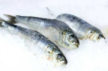 wholesale sardines restaurant prepared