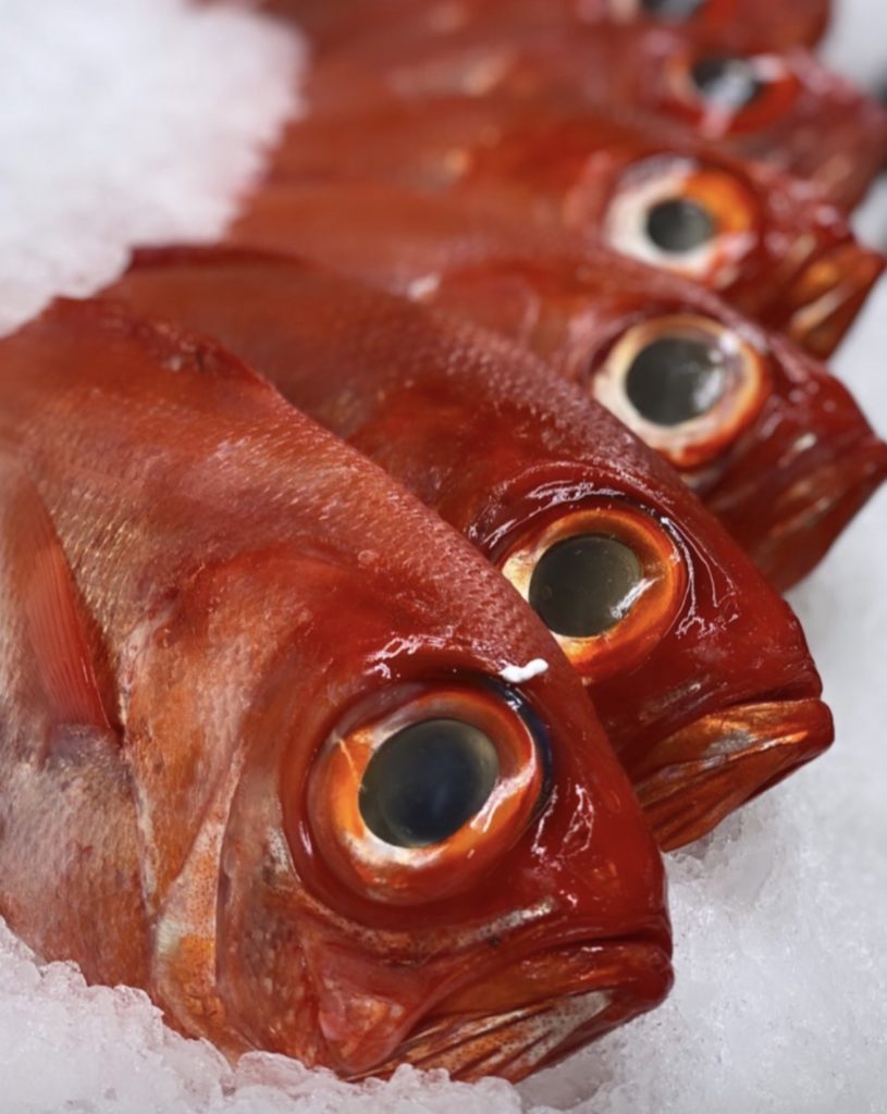 Opah Racks Frozen Seafood Wholesale Products - Fresh & Frozen Seafood - NJ & NYC