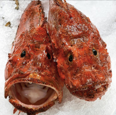 Rascasso fish restaurant sale new jersey