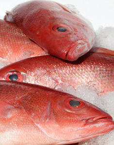 Pink Snapper fish for delivery to Brooklyn and NYC