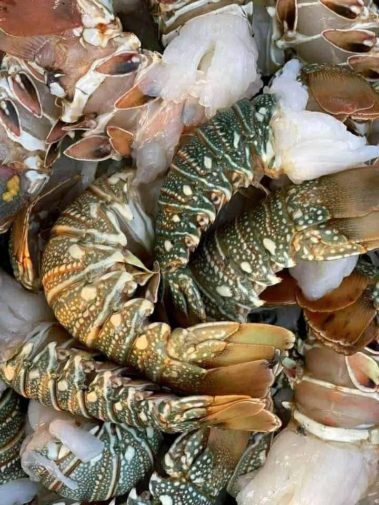 Fresh lobster tails New York City