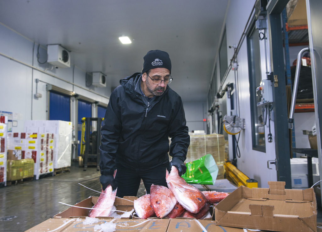 fish quality inspection Newark New Jersey