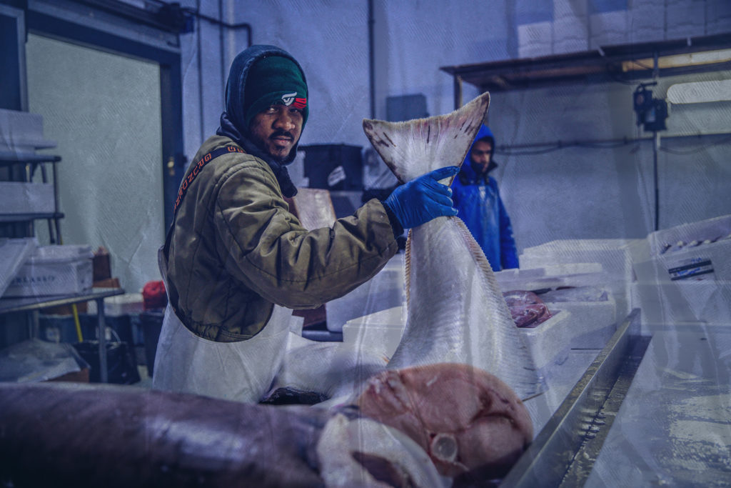 Fresh halibut preparation for restaurants in NJ and NYC