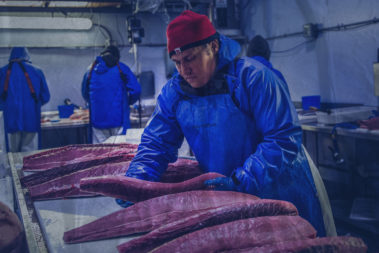 preparation of tuna for sale